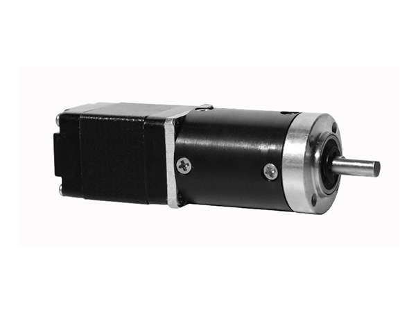 M22GXR-22BYG Driving Stepper Reduction Motor